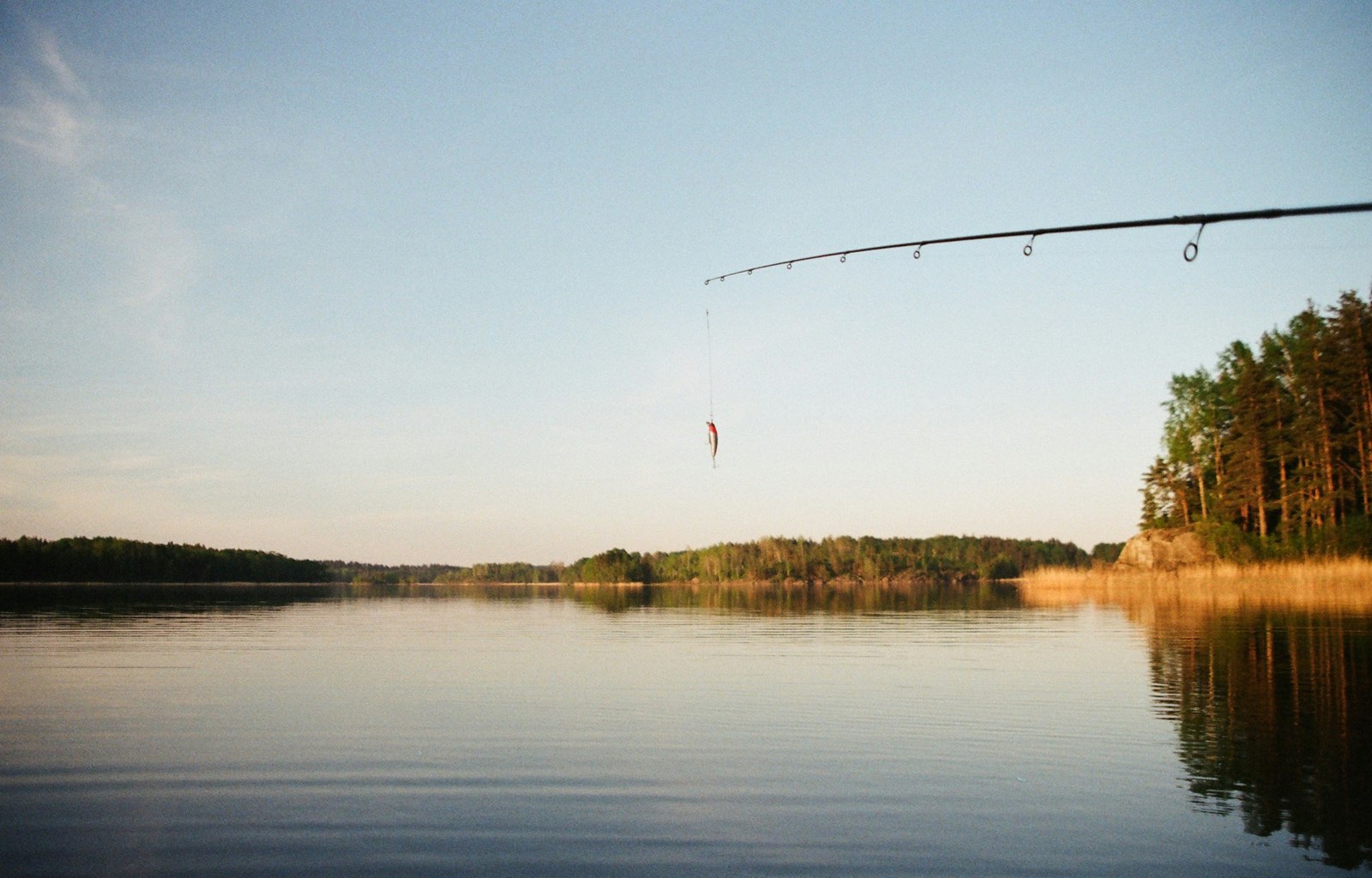 A rod tip reaching out over still water at golden hour, a treeline along the far shore.