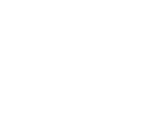 Skallywags