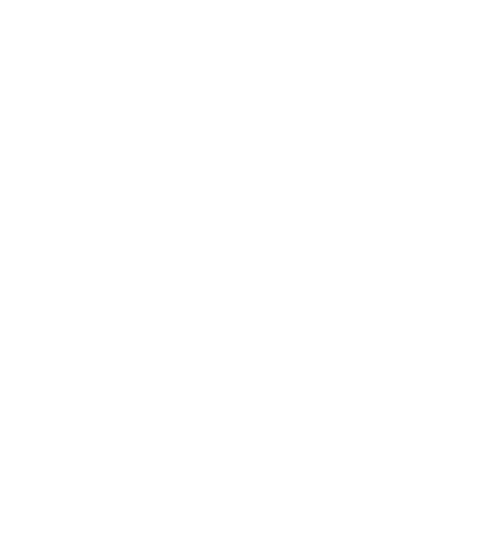 Tenacity Guide Service