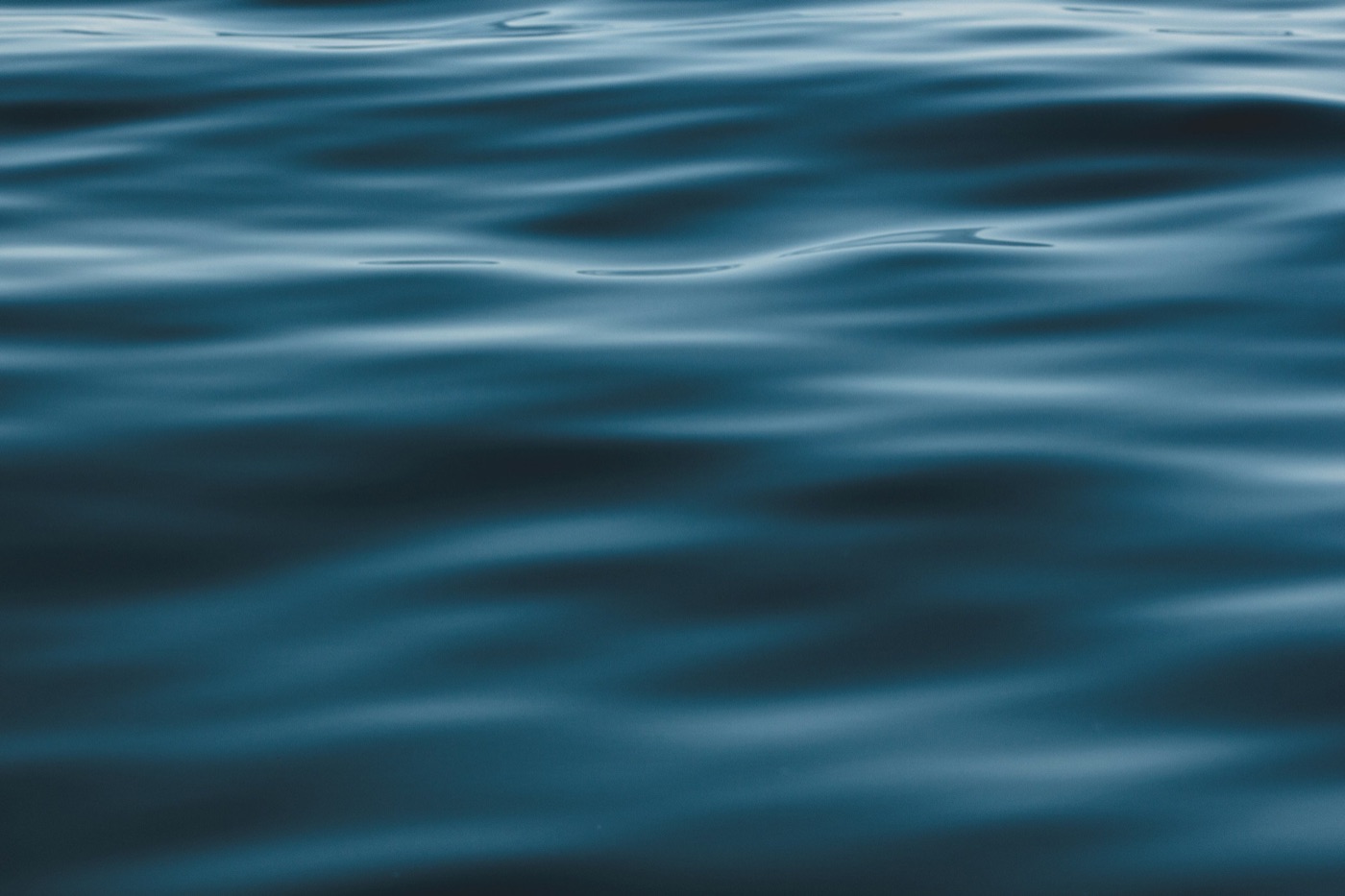 Dark open ocean swell at dusk.